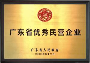 廣東省優(yōu)秀民營(yíng)企業(yè)